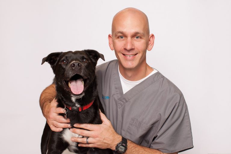 Our Partners Friends for Life Animal Rescue Gilbert