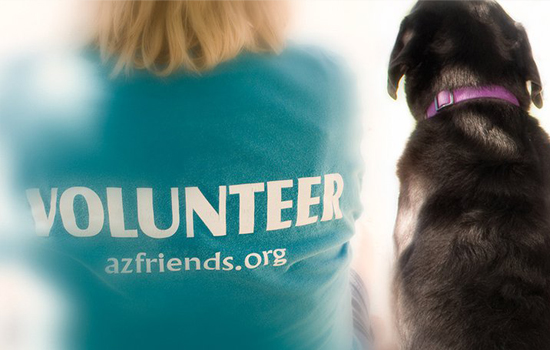 Volunteer with dog