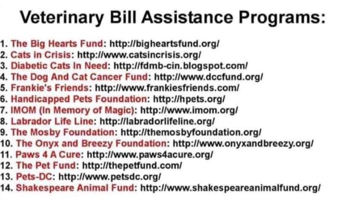 vet assistance programs