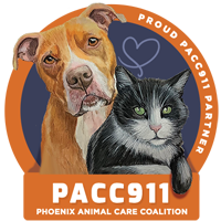 PACC911 Logo